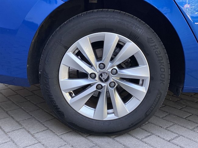 20195456.jpg