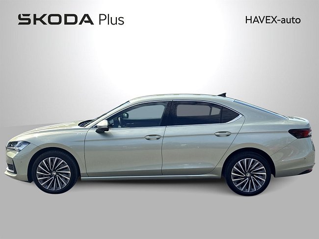 20195499.jpg