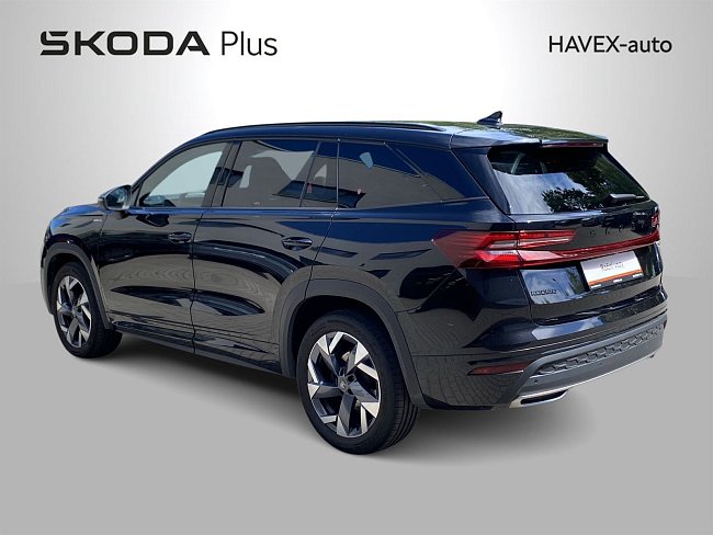 20195500.jpg