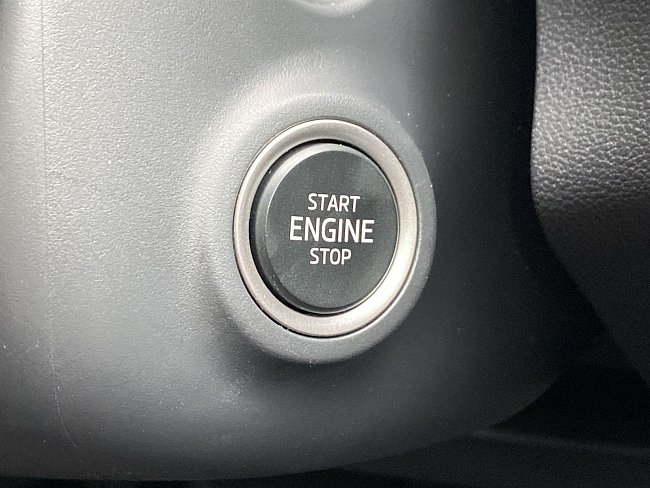 20195492.jpg