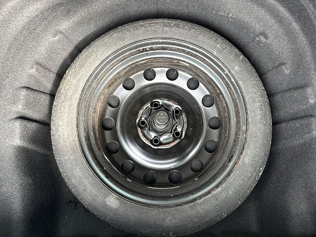 20195488.jpg