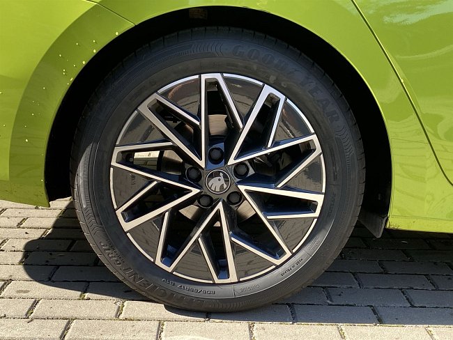 20195482.jpg