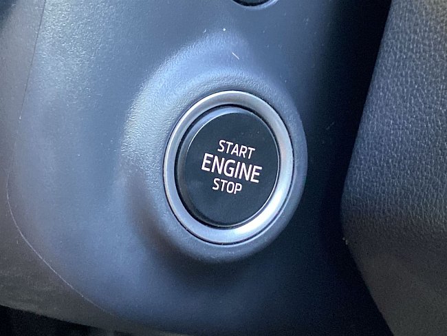 20195490.jpg