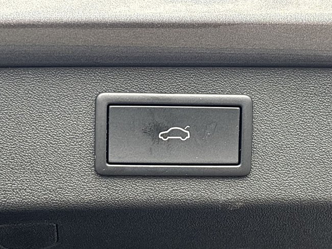 20195500.jpg