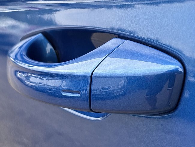 20195473.jpg