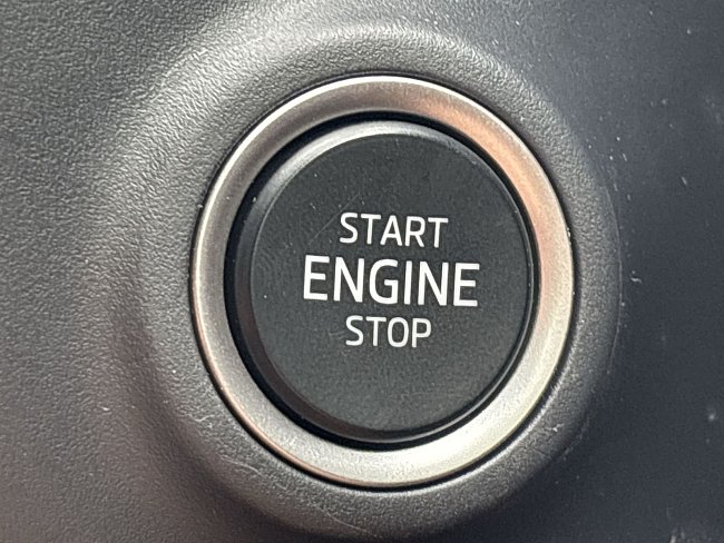 20195475.jpg