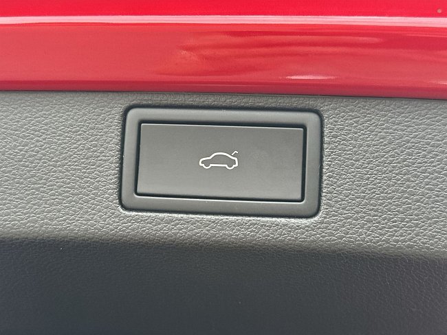 20195477.jpg