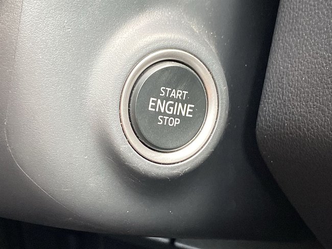 20195496.jpg