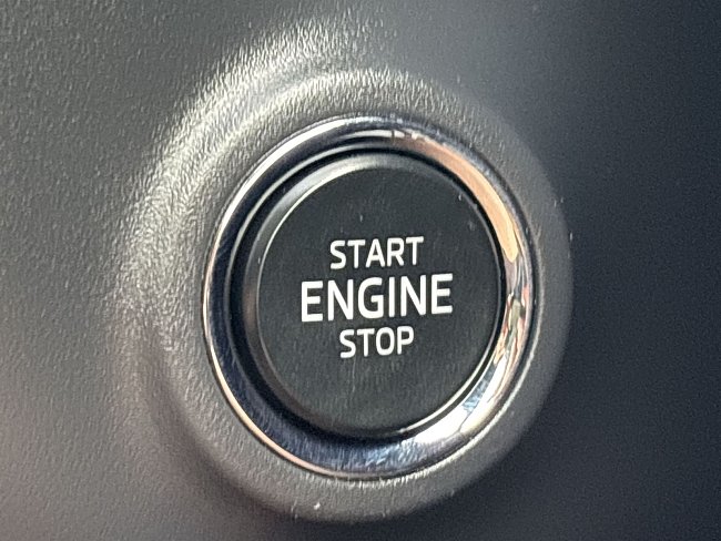 20195456.jpg