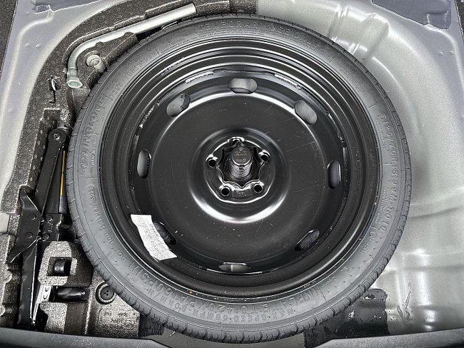 20195456.jpg