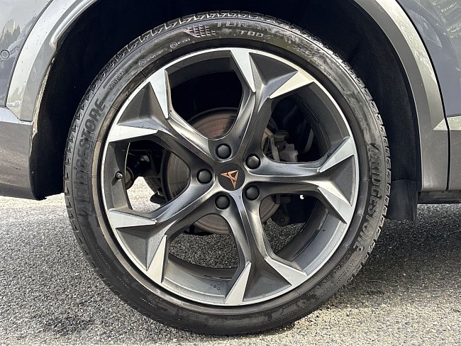 20195458.jpg