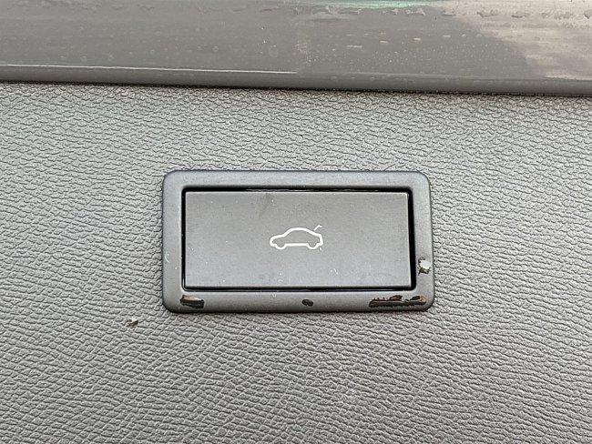 20195460.jpg