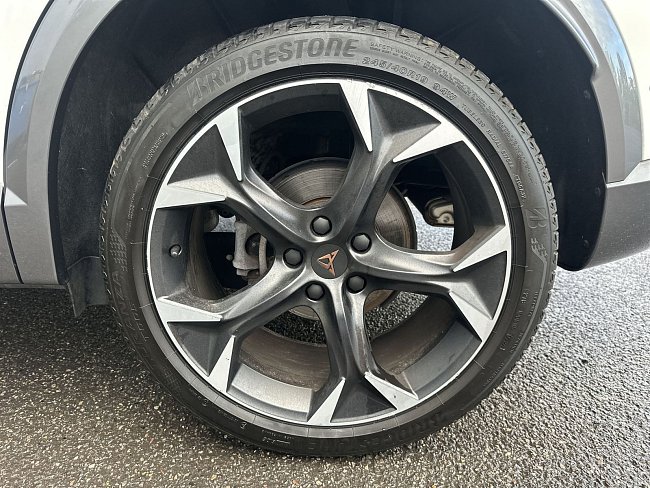 20195471.jpg
