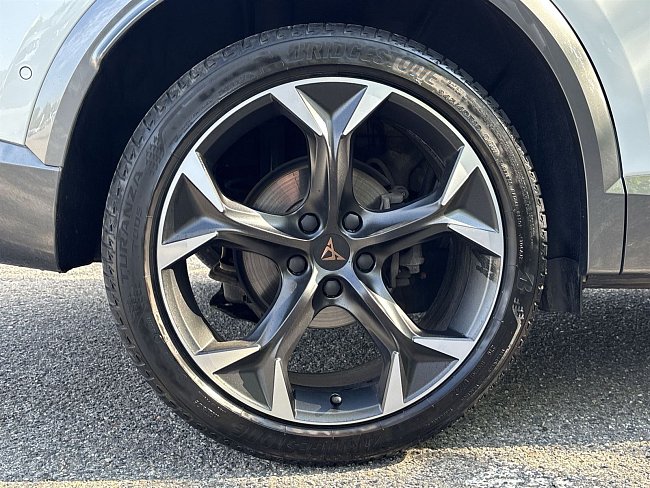 20195461.jpg