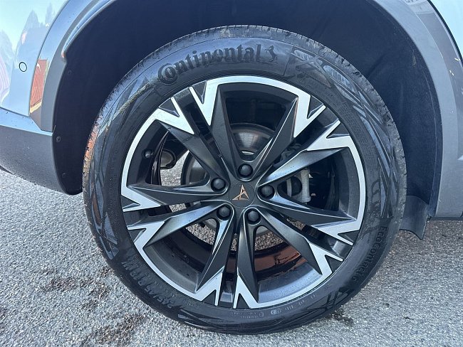 20195458.jpg