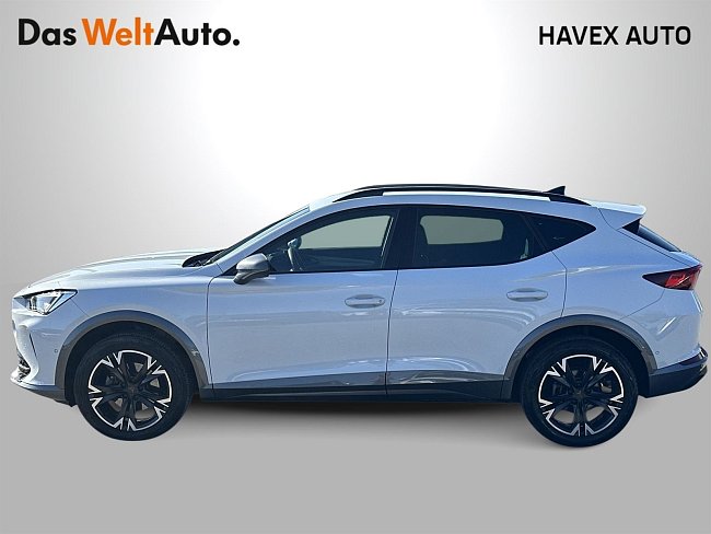 20195462.jpg