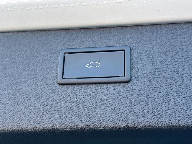 20195471.jpg