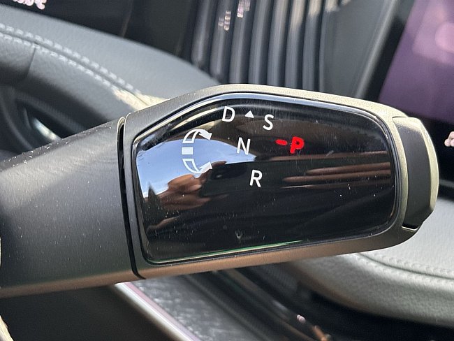 20195562.jpg