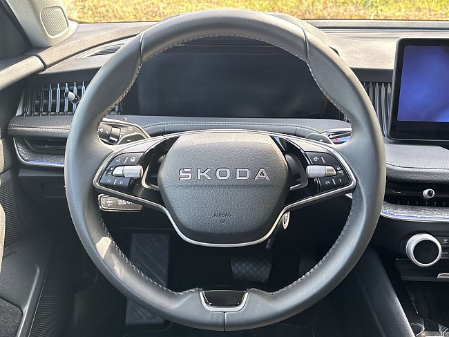 20195574.jpg