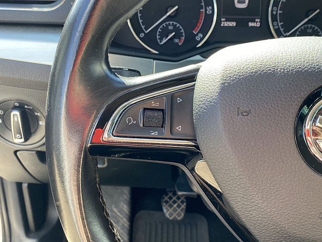 20195571.jpg