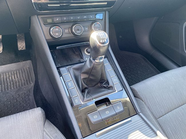 20195575.jpg