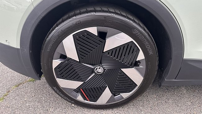 20195559.jpg