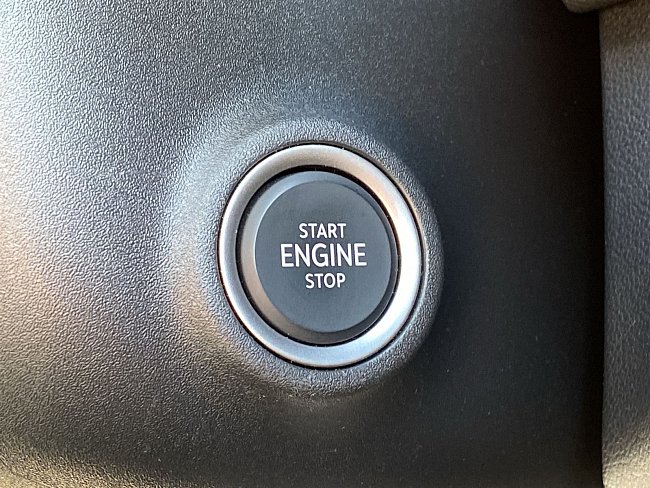 20195582.jpg