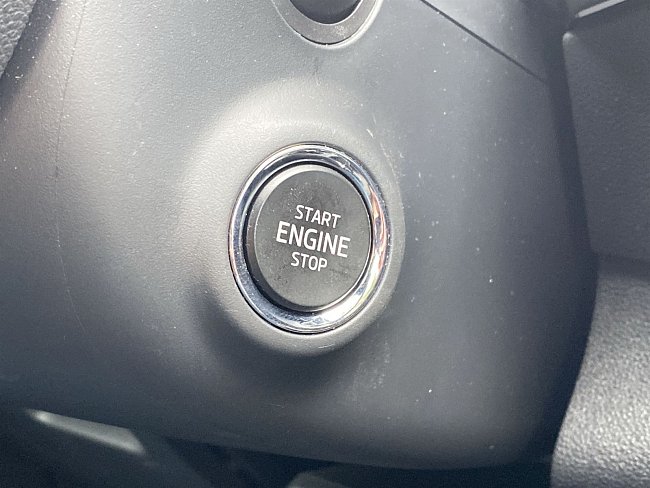 20195575.jpg