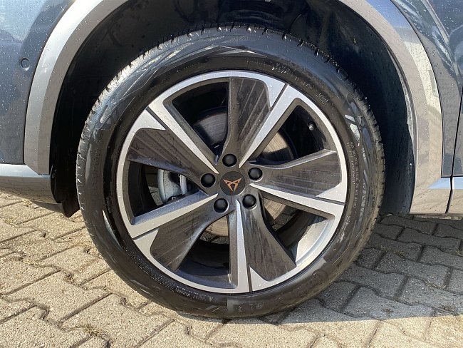 20195583.jpg