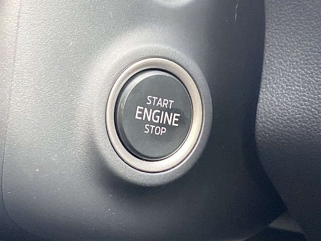 20195574.jpg