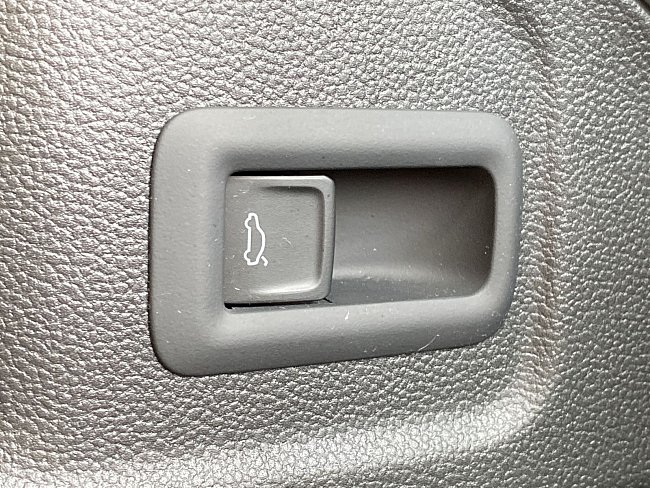 20195581.jpg