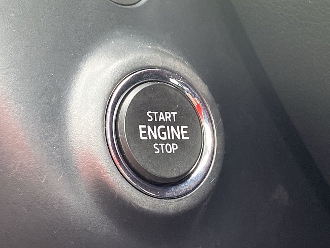 20195579.jpg