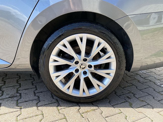 20195580.jpg