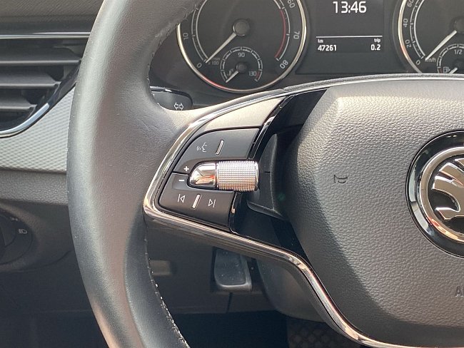 20195580.jpg