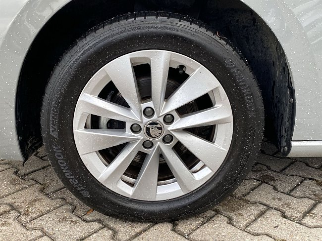 20195557.jpg