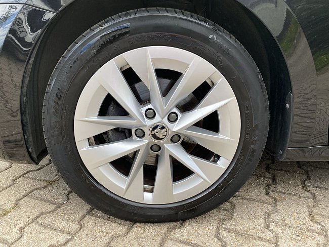 20195555.jpg
