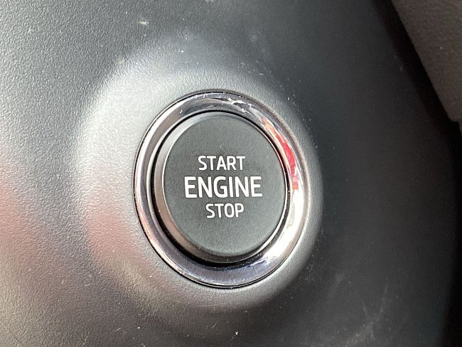 20195555.jpg