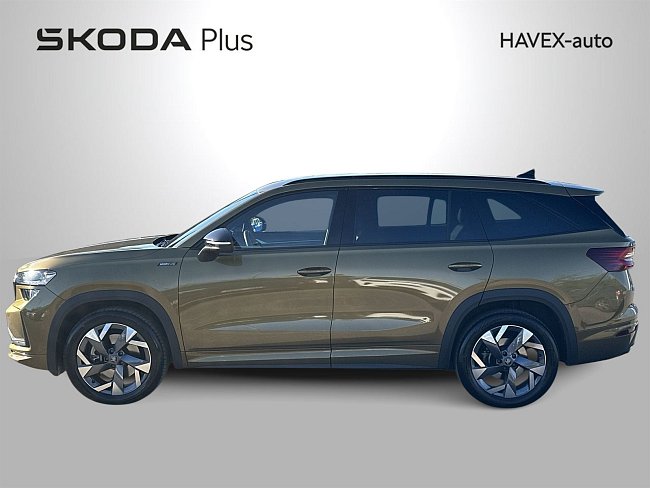 20195538.jpg