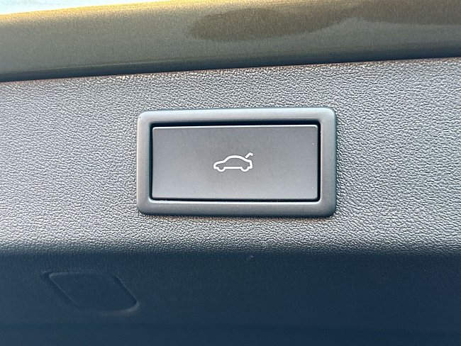 20195560.jpg