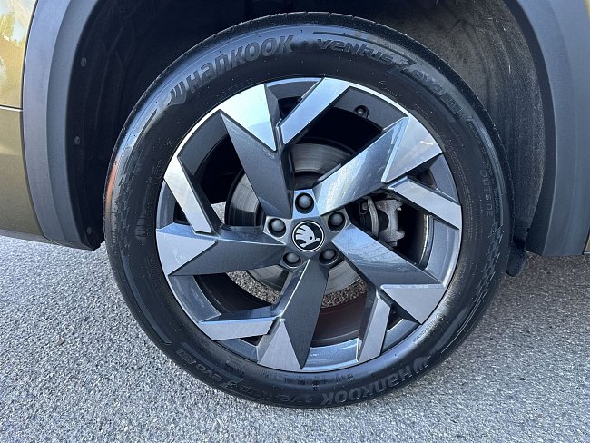20195565.jpg