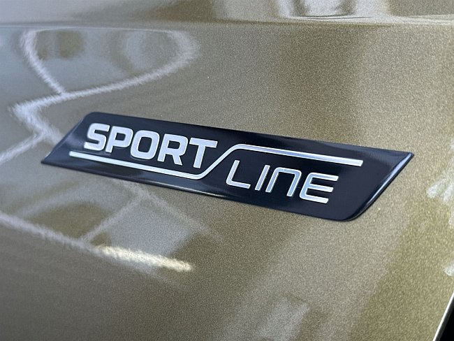 20195567.jpg
