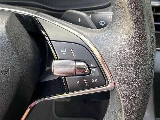 20195560.jpg