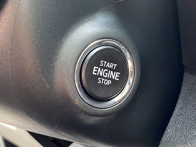 20195561.jpg