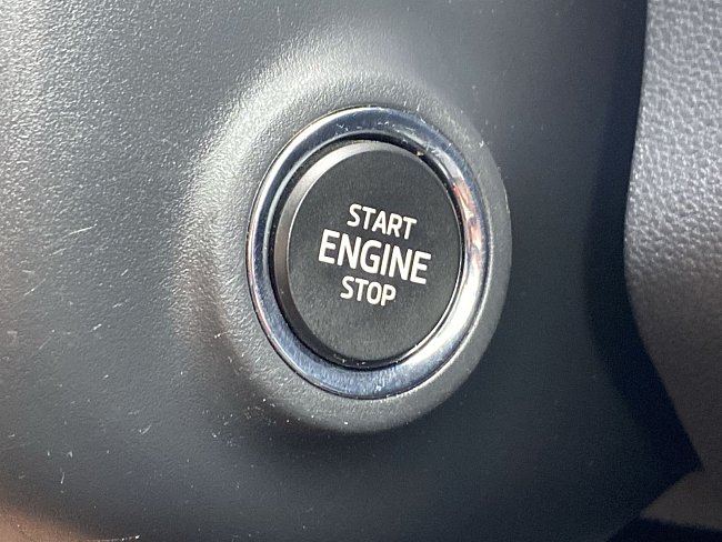 20195557.jpg