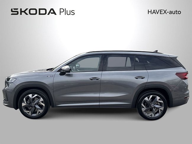 20195580.jpg
