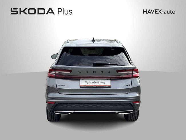 20195581.jpg