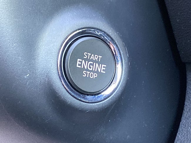 20195555.jpg