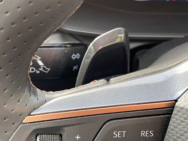 20195556.jpg