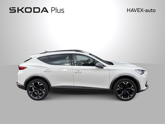 20195571.jpg