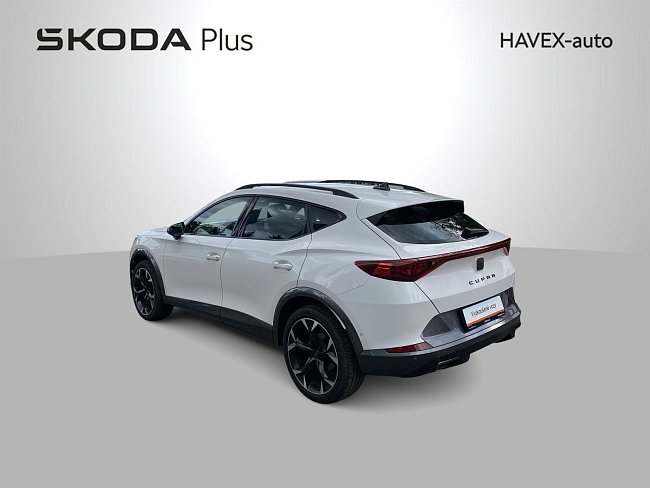 20195582.jpg